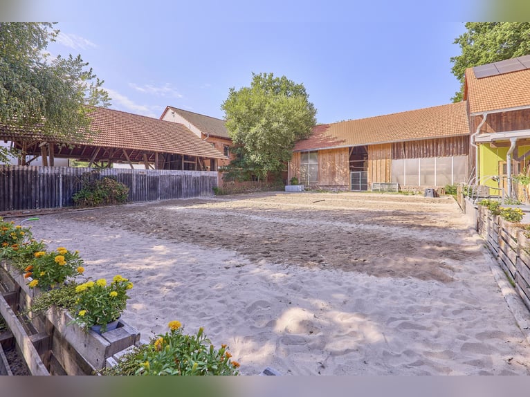 Achat d'un centre équestre à Enkenbach-Alsenborn – avec une maison d'habitation récente dans un cadr