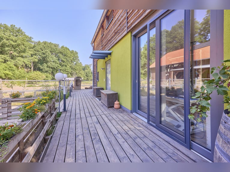 Achat d'un centre équestre à Enkenbach-Alsenborn – avec une maison d'habitation récente dans un cadr