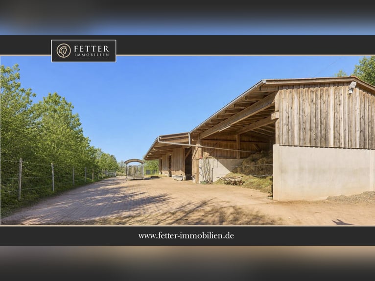 Achat d'un centre équestre en Rhénanie-Palatinat – Centre équestre moderne construit en 2016, situé 