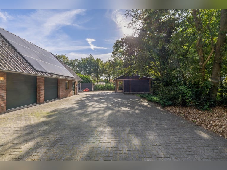 Amazing location for horselovers