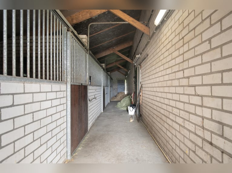 An exceptional equestrian estate with outstanding facilities!