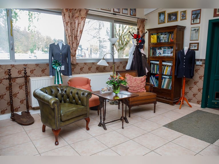 Ancien château d'eau historique avec installation équestre bien entretenue en Rhénanie-Palatinat !