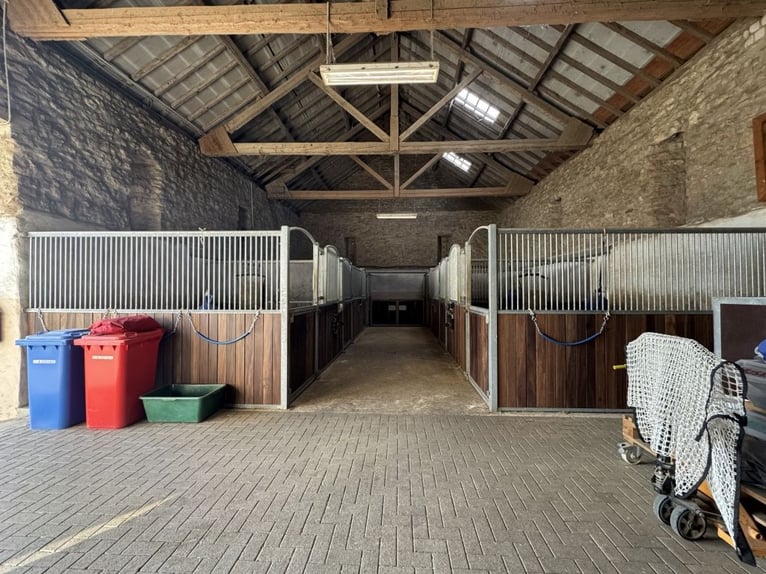 Ancien corps de ferme carré avec installation équestre