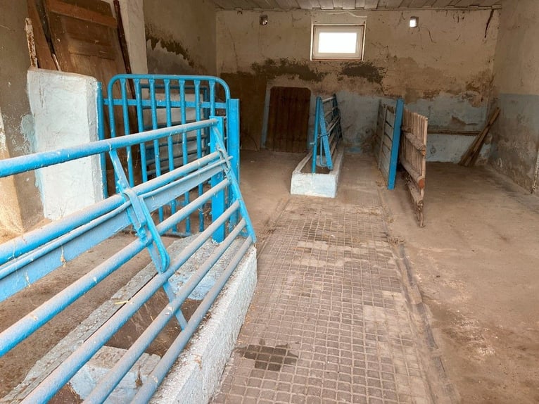 Ancien corps de ferme historique avec un potentiel de développement exceptionnel – centre équestre, 