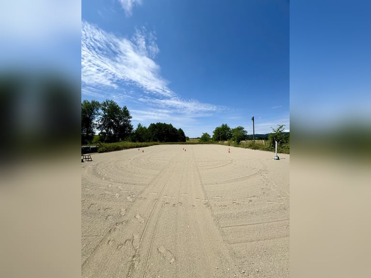 Ancien domaine agricole de caractère avec 40 hectares de terrain arrondi, comprenant une exploitatio