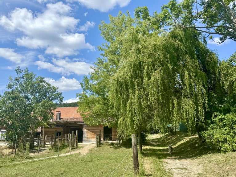 Ancien domaine agricole de caractère avec 40 hectares de terrain arrondi, comprenant une exploitatio