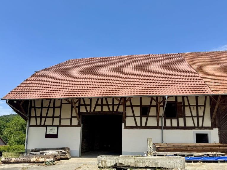 Ancien domaine agricole de caractère avec 40 hectares de terrain arrondi, comprenant une exploitatio