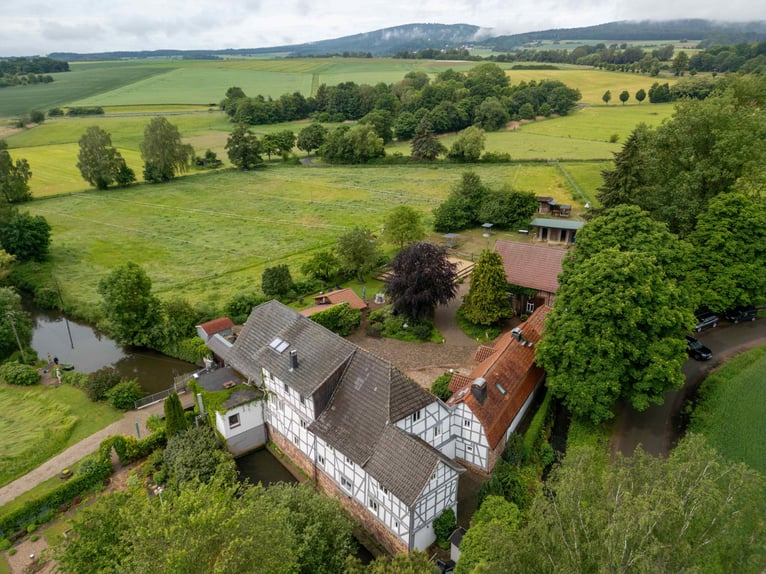 Ancien domaine de moulin isolé avec élevage de chevaux, énergie hydraulique et revenus attractifs