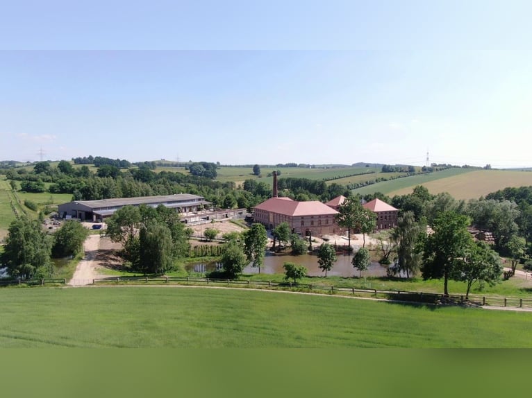 Appartement de luxe conçu par un architecte, comprenant le centre équestre MEA – manège, piste de sa