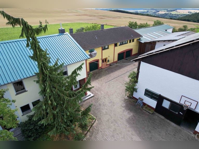 Aussiedlerhof mit viel Wohnraum in idyllischer Alleinlage