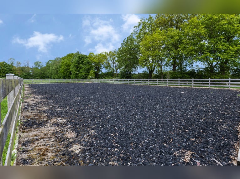 Authentique campagne – propriété spacieuse en position isolée, comprenant environ 7,5 hectares de te