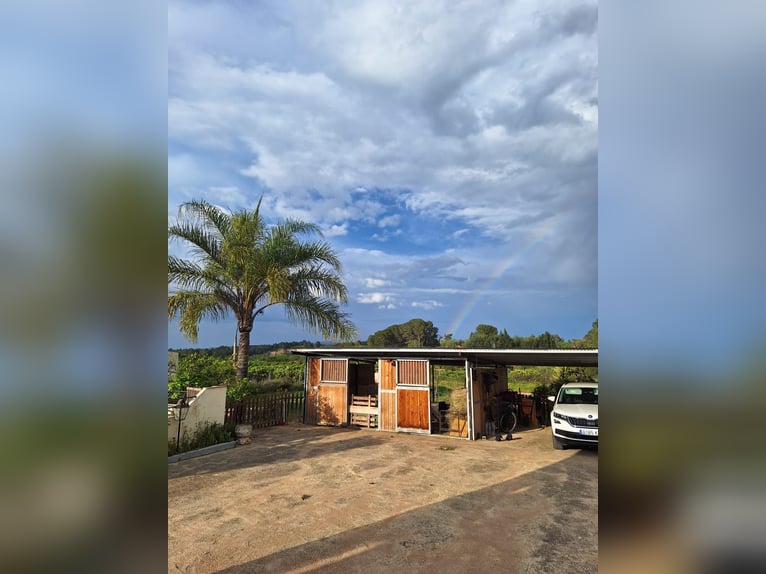 BEAUTIFUL COUNTRYHOUSE FOR LIVING WITH HORSES - WUNDERSCHÖNES LANDHAUS ZUR PRIVATEN PFERDEHALTUNG