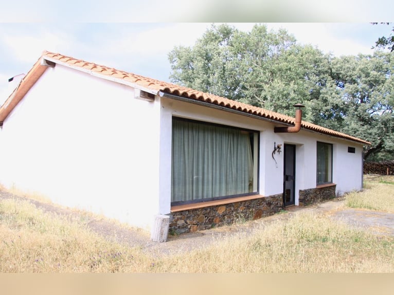 Belle ferme avec domaine à Salamanca – 200 hectares