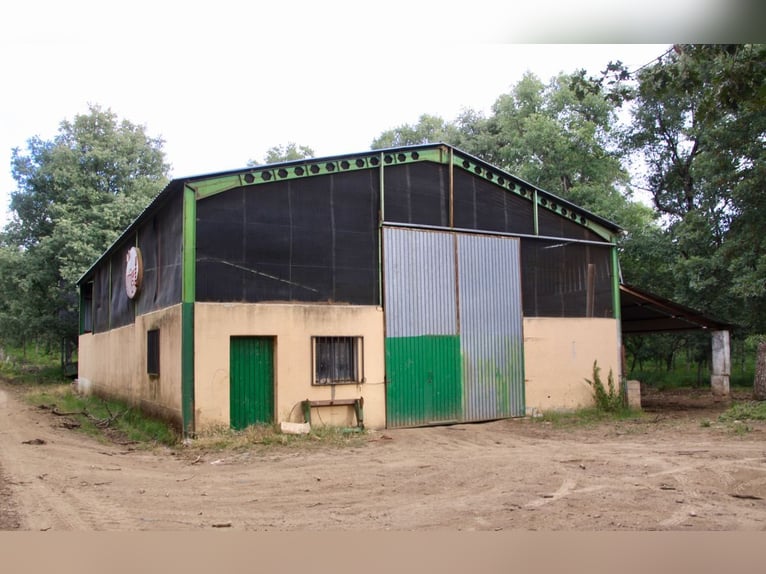 Belle ferme avec domaine à Salamanca – 200 hectares
