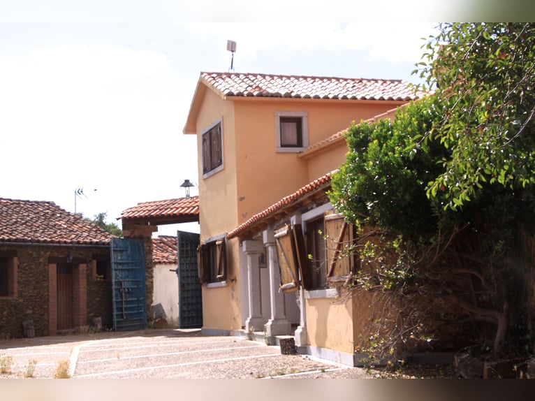 Belle ferme avec domaine à Salamanca – 200 hectares