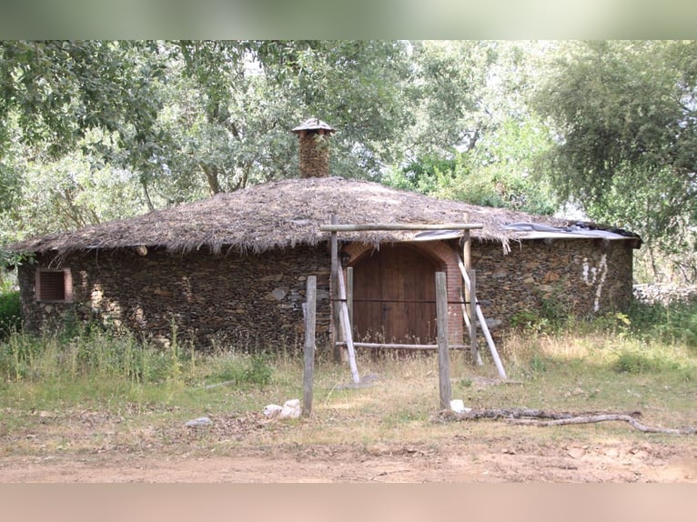 Belle ferme avec domaine à Salamanca – 200 hectares