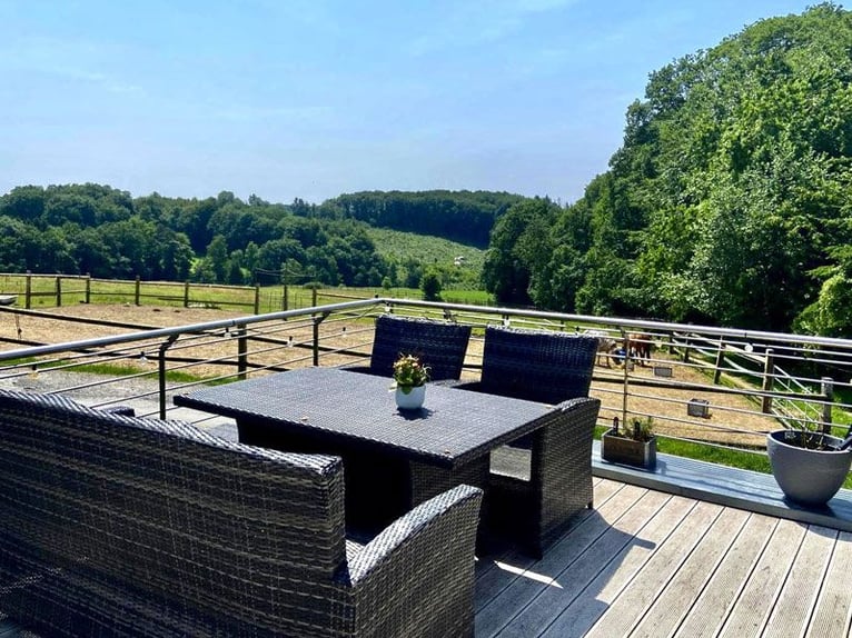 Bienvenue avec vos chevaux dans votre nouveau foyer !