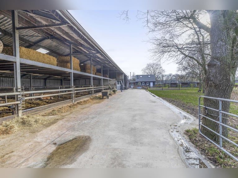 Buskensven 1, Oostrum