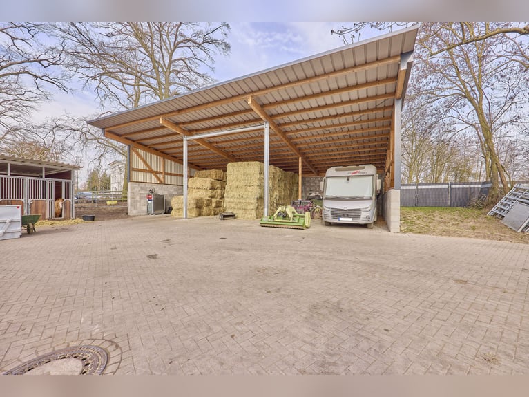 Centre équestre à Dannenberg (Elbe) en Basse-Saxe – ferme rénovée et maison d'habitation avec potent