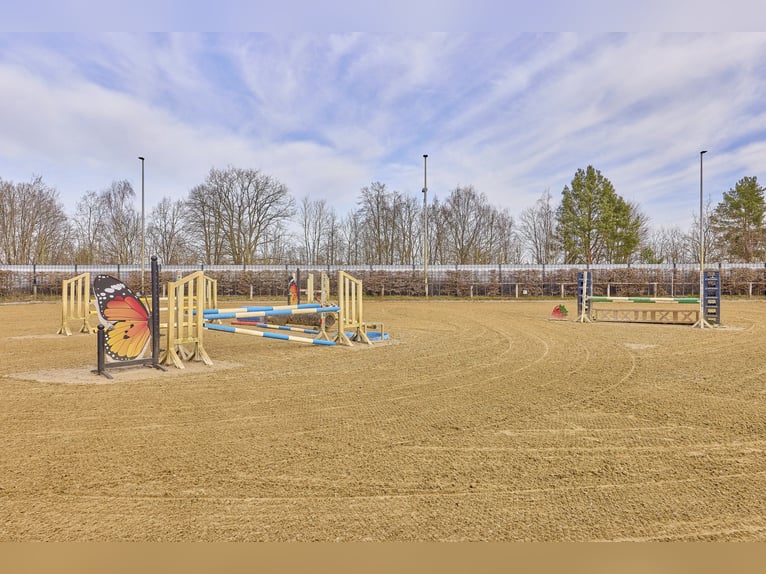 Centre équestre à Dannenberg (Elbe) en Basse-Saxe – ferme rénovée et maison d'habitation avec potent