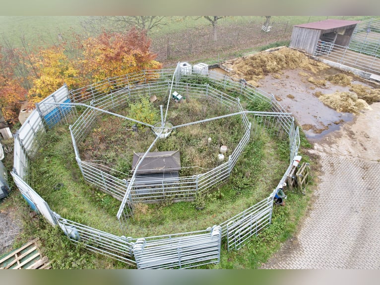 Centre équestre à Osterburken – nombreuses possibilités d'utilisation sur un vaste domaine