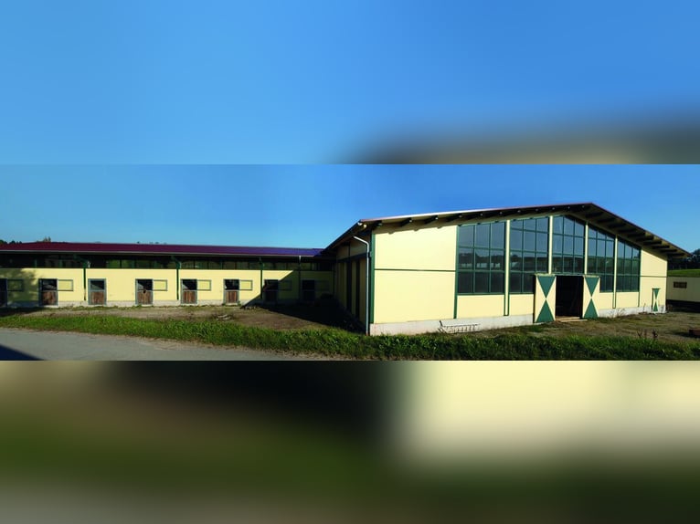 Centre équestre au bord du lac