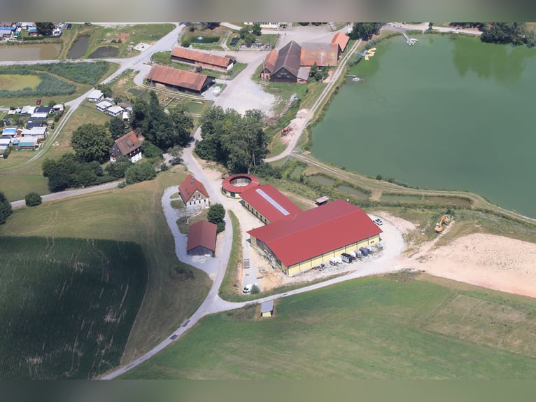 Centre équestre au bord du lac