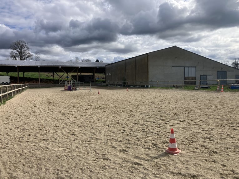 Centre équestre clés en main !