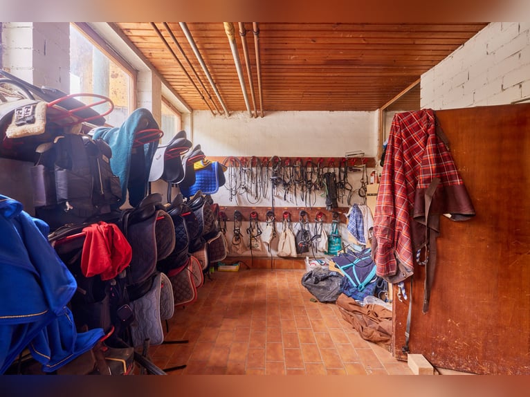 Centre équestre dans la Forêt-Noire sur un terrain en concession avec deux unités d'habitation !