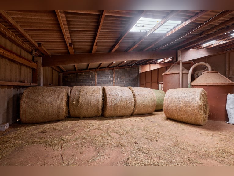 Centre équestre dans la Forêt-Noire sur un terrain en concession avec deux unités d'habitation !