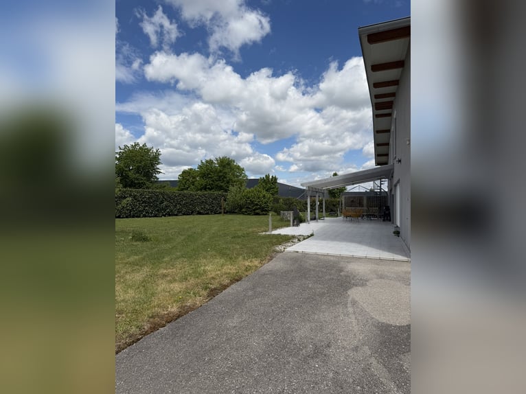Centre équestre exclusif avec hangar moderne près de Mühldorf - 388-26