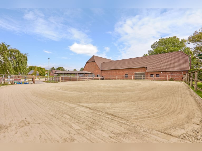 Centre équestre près de Hanovre – 29 boxes pour chevaux, installations d’entraînement professionnell