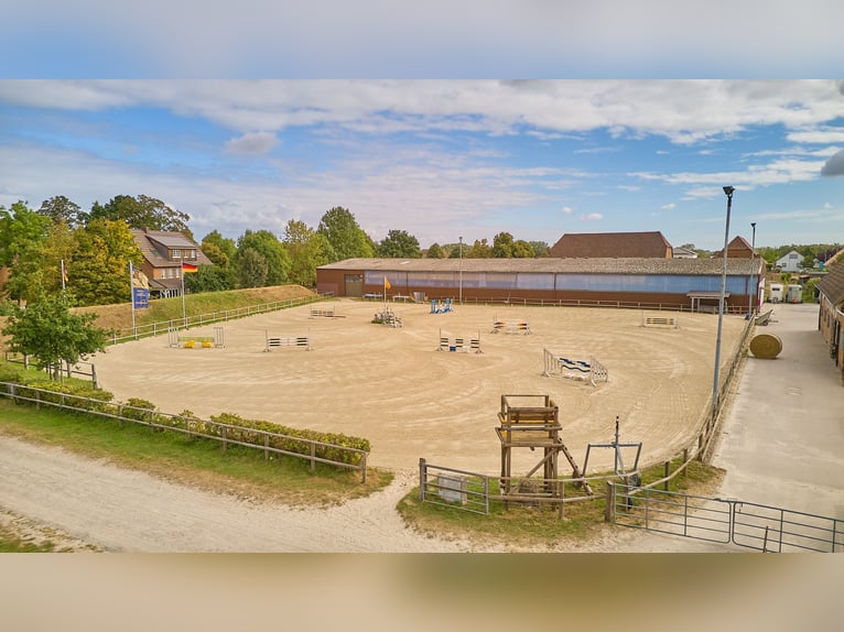 Centre équestre près de Hanovre – 29 boxes pour chevaux, installations d’entraînement professionnell