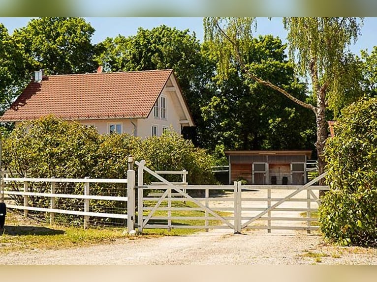 Centre équestre près de Landsberg am Lech - vivre et travailler avec des chevaux