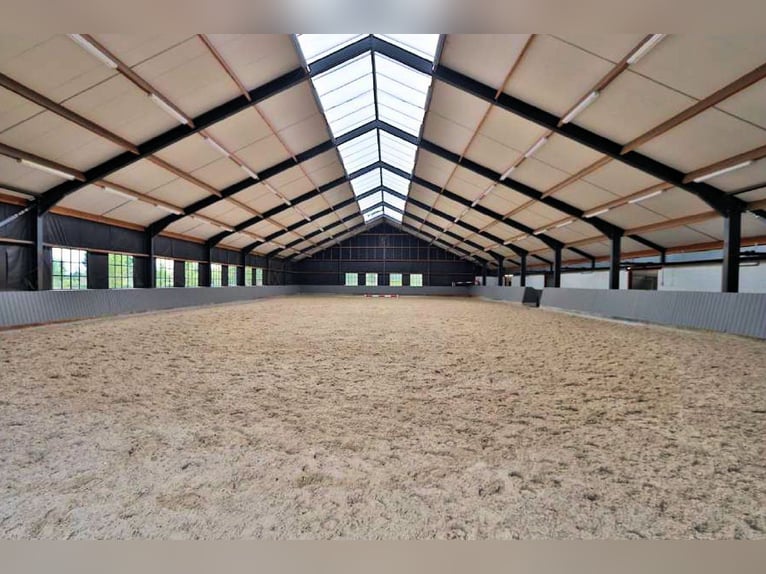 Centre équestre professionnel en Rhénanie-du-Nord-Westphalie