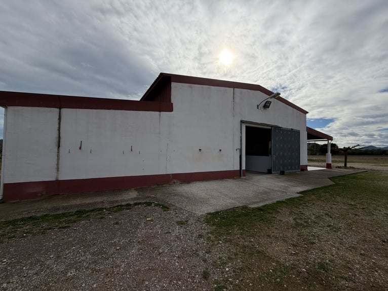 Centre hippique dans le nord de Castellón