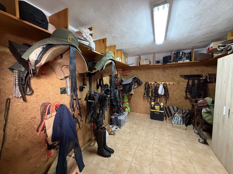 Centre hippique dans le nord de Castellón