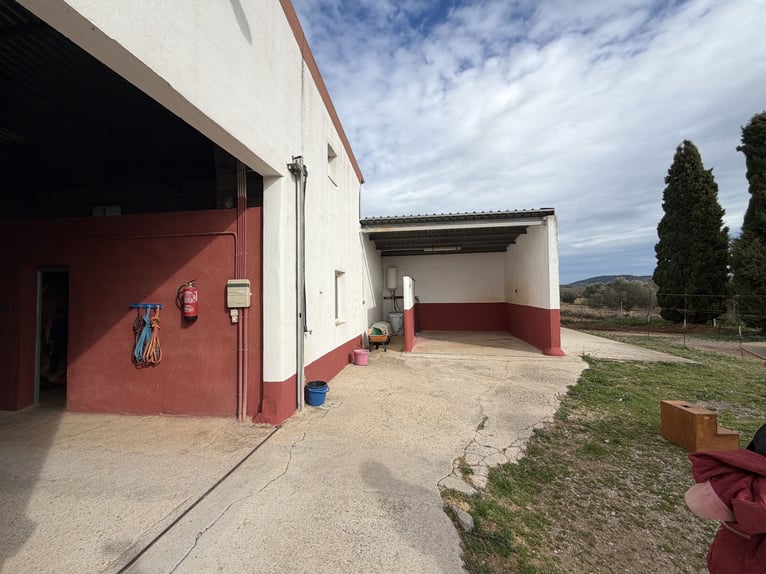 Centre hippique dans le nord de Castellón