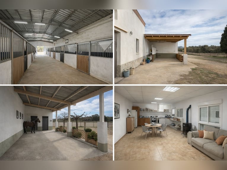 Centre hippique dans le nord de Castellón