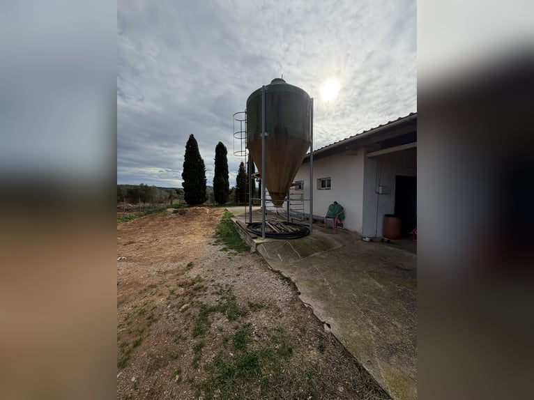 Centre hippique dans le nord de Castellón