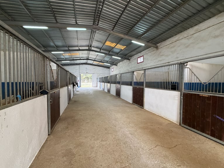 Centre hippique dans le nord de Castellón