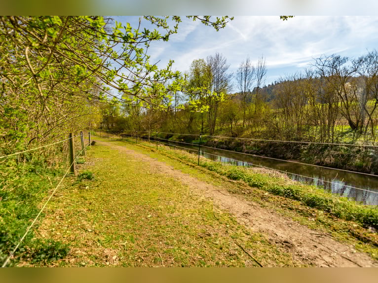 Charmante ferme avec espace équestre aménagé à Zeilarn (à l'est de Munich), sans commission