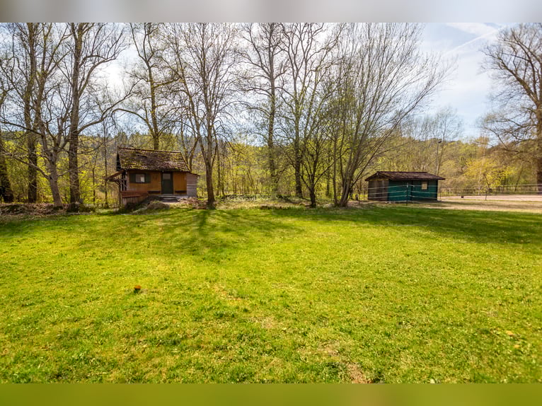 Charmante ferme avec espace équestre aménagé à Zeilarn (à l'est de Munich), sans commission