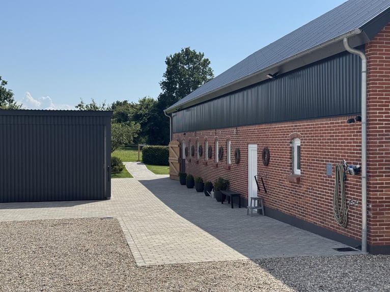 Charmante maison de campagne avec installations équestres haut de gamme dans le Jutland-du-Sud, situ