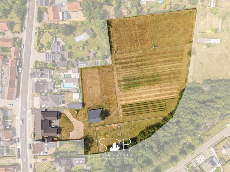 Charmante propriété avec vignoble et prairies sur 14 569 m² à Wachtebeke | Belgique