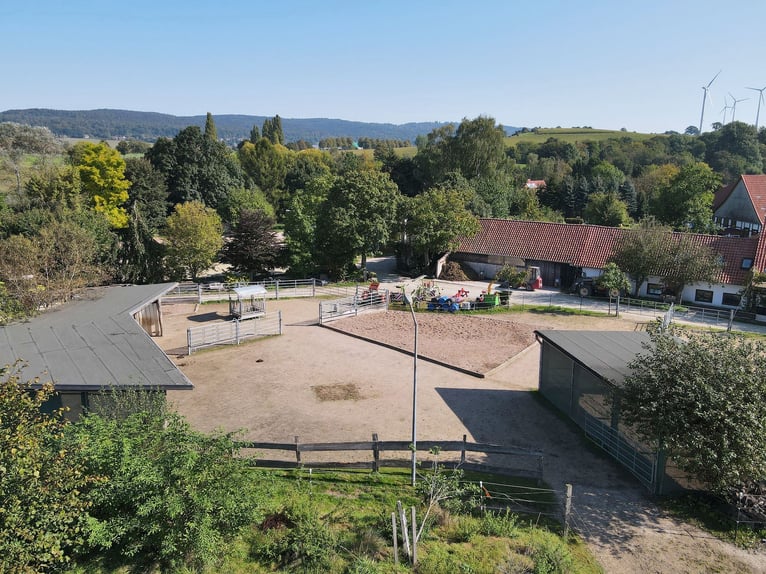 Charmantes Bauernhaus mit artengerechter Pferdehaltung und vielen weiteren Möglichkeiten