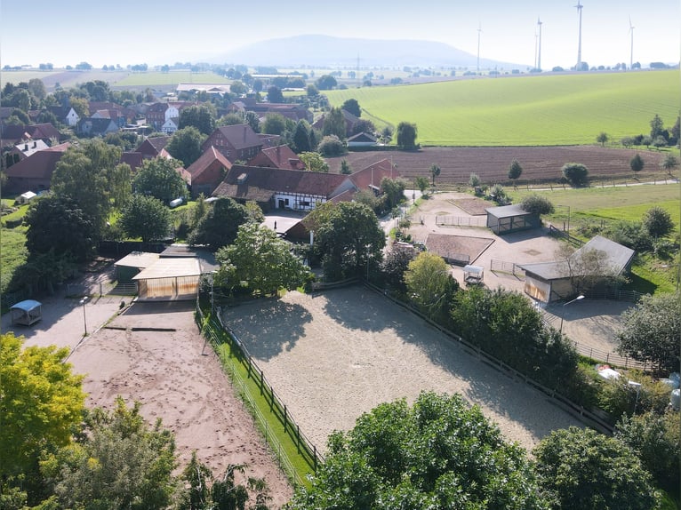 Charmantes Bauernhaus mit artengerechter Pferdehaltung und vielen weiteren Möglichkeiten