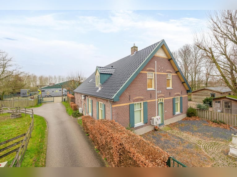 Complete equestrian accommodation