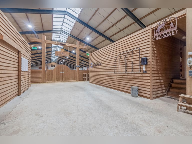 Complete equestrian accommodation