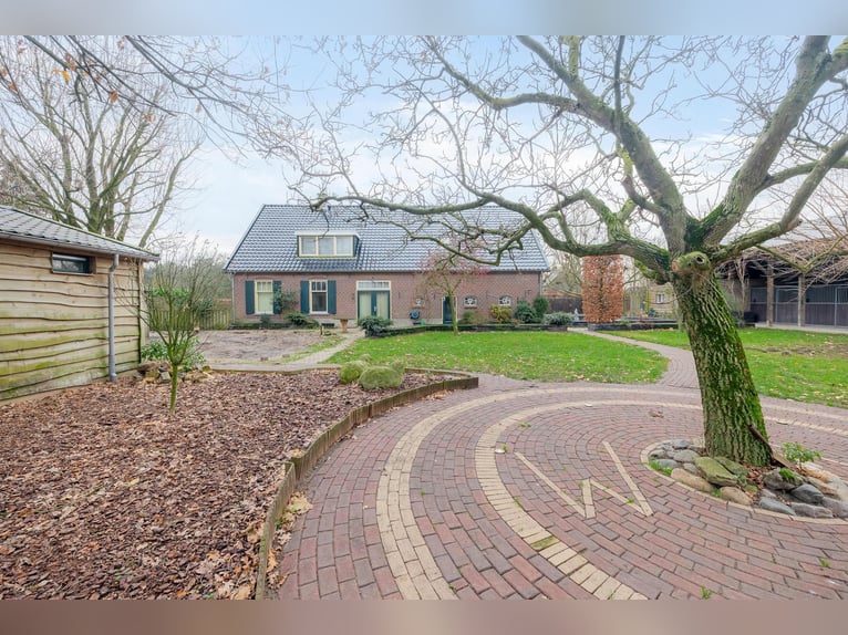 Complete equestrian accommodation